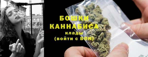 молекула духа Зеленодольск