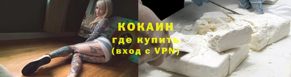 стафф Зеленокумск