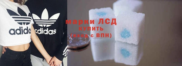 стафф Зеленокумск