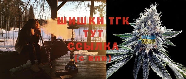 стафф Зеленокумск