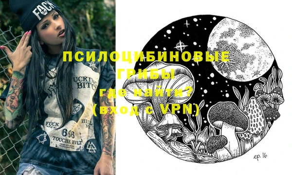 стафф Зеленокумск