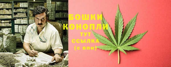 молекула духа Зеленодольск