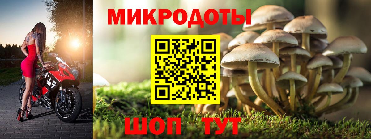 Псилоцибиновые грибы ЛСД  Псилоцибиновые грибы Magic Shrooms  Вход с VPN  Славгород 