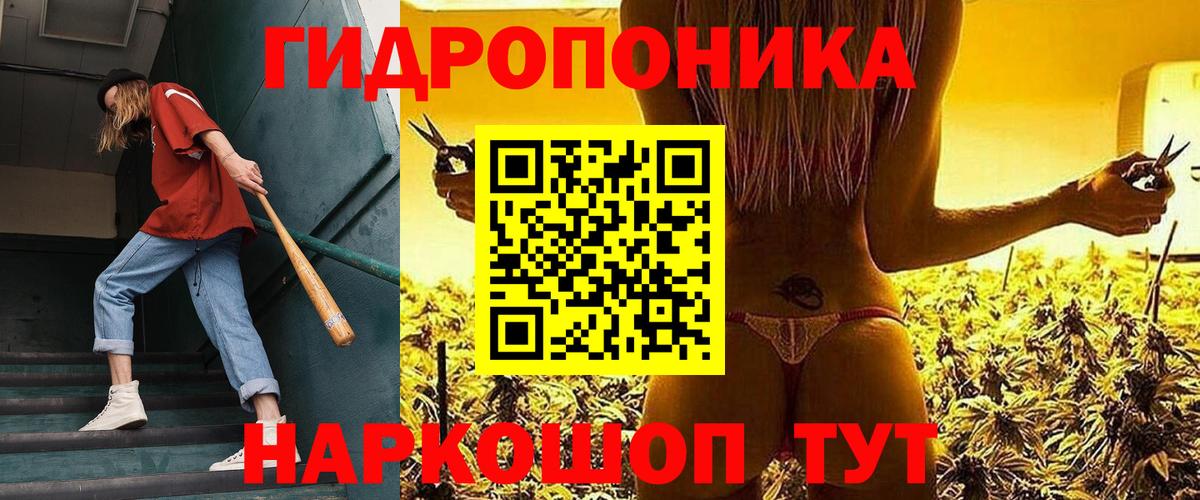 Бошки марихуана план  Бошки марихуана MAZAR  Славгород  Шишки марихуана THC 21% 